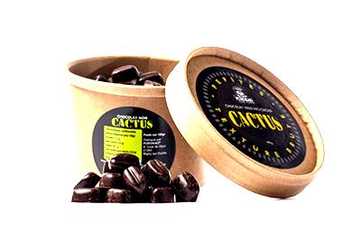 POT DE PEPITES CHOCOLAT NOIR AU CACTUS 100G