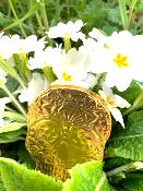 CALAVERA DOREE CHOCOLAT BLANC ARTISANAL